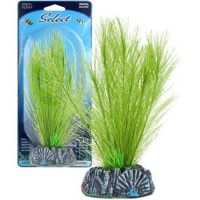 Penn-Plax Hairgrass Растение Элеохарис шелковое зеленое