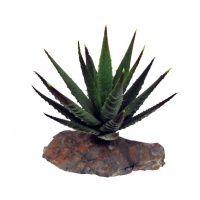 LUCKY REPTILE Декоративное растение для террариумов "Tiger Aloe"