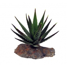 LUCKY REPTILE Декоративное растение для террариумов "Tiger Aloe"