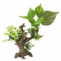AQUA DELLA Растение для аквариумов "Florascape 6", 14,5x9x16,5см