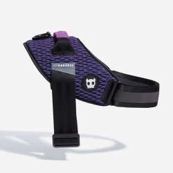 Шлейка Fly WICKED